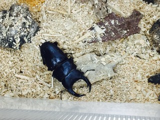 写真 2017-08-23 20 26 24.jpg