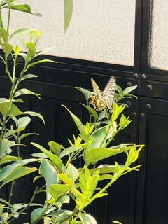写真 2018-04-28 10 02 03.jpg