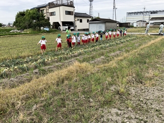 写真 2018-05-29 10 44 34.jpg