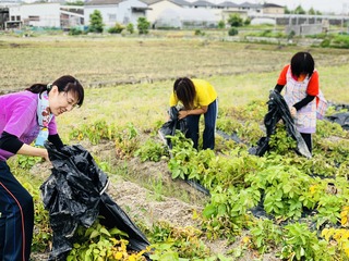 写真 2018-05-29 9 21 41.jpg