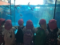 IMG_1767.jpg