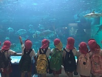 IMG_1787.jpg