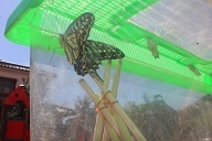 IMG_6897.JPG