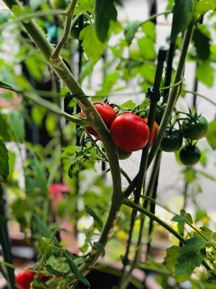 IMG_7735.jpg
