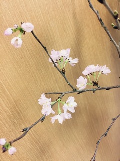 S_5884394958685.jpg