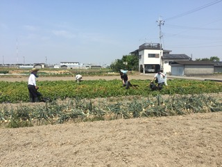 S_6192453156386.jpg